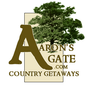 Aarons 2010 Logo